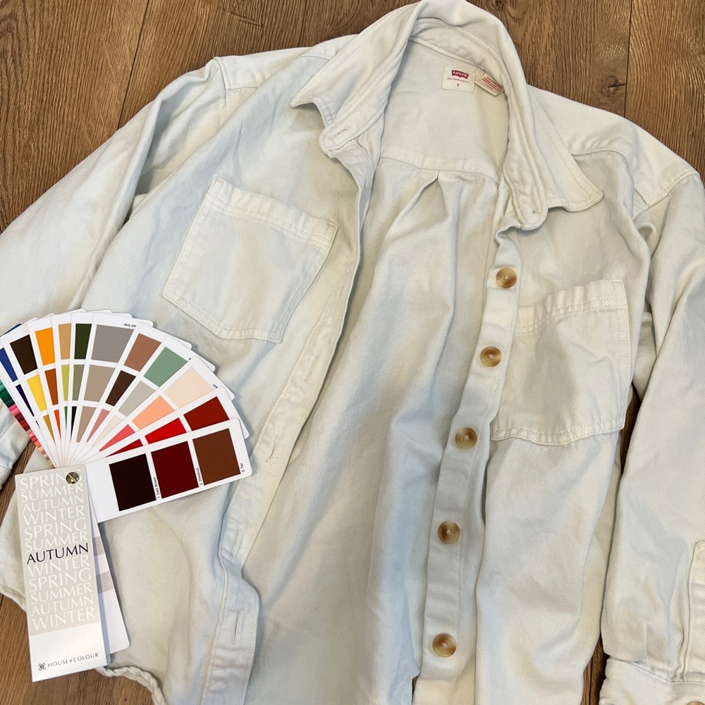 Levi's Target Oversized Button Down